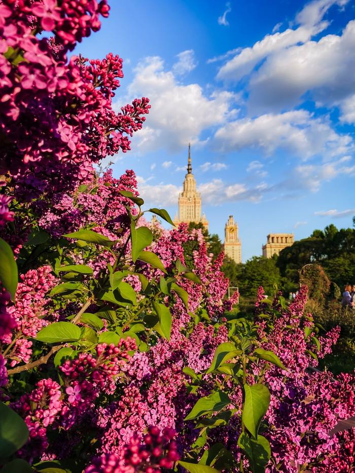 Красивые Фото — Алёна Уткина, Москва