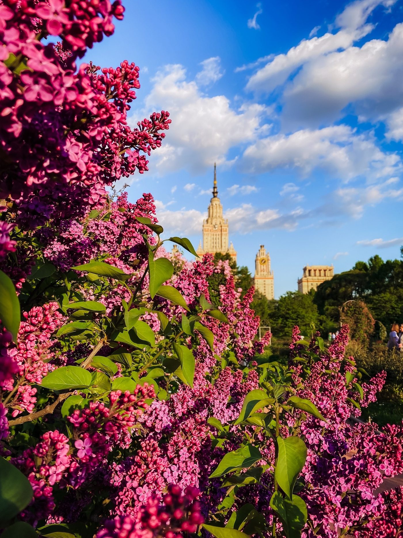 Красивые Фото — Алёна Уткина, Москва
