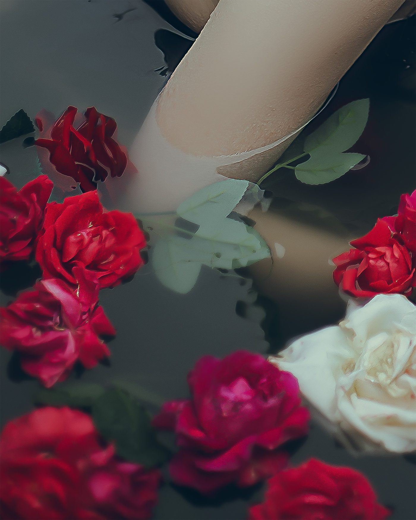 creative — Кочергина Ангелина, Ростов-на-Дону
