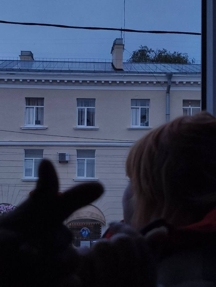 На телефон😊 — Nika Taeva, Санкт-Петербург