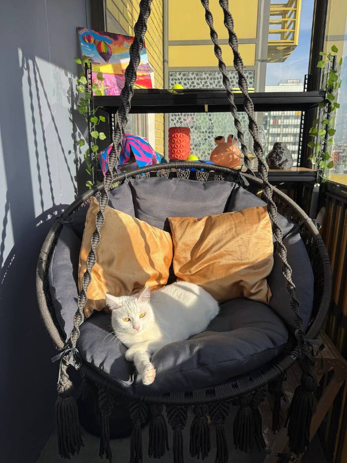 🐈 — Мелитина, Москва