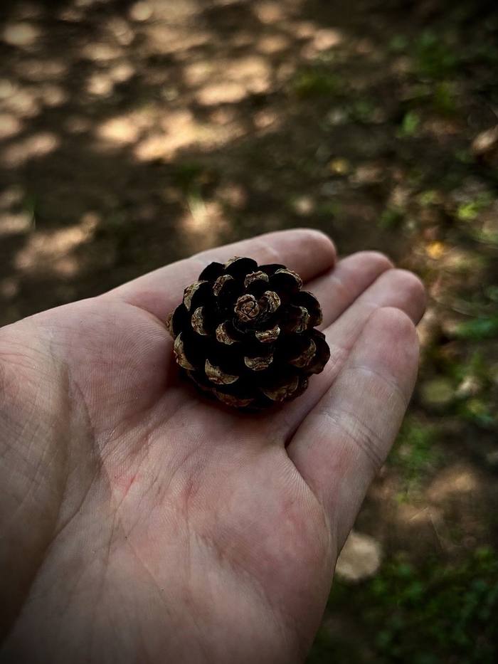 Nature — Roman, Москва