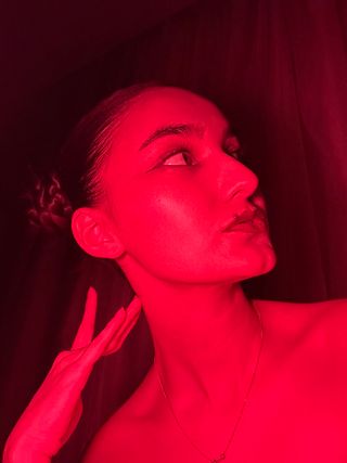 Фотография: Азалия